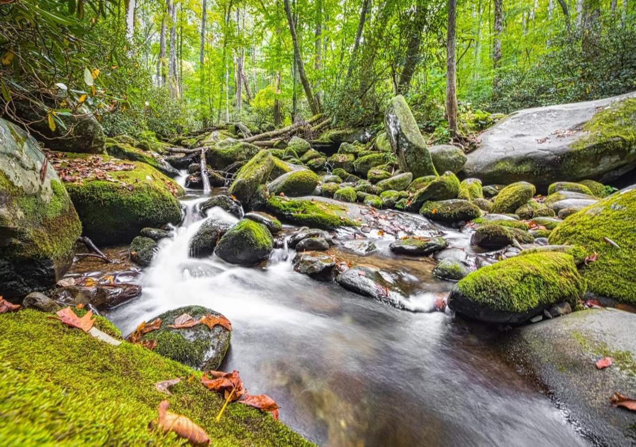 The Grand Orchard Lodge - Gatlinburg, Tn 外观 照片