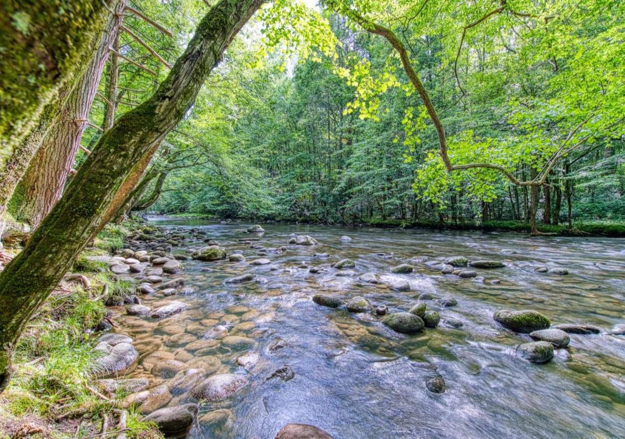 The Grand Orchard Lodge - Gatlinburg, Tn 外观 照片